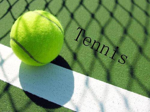 能取胜的重 能取胜的重