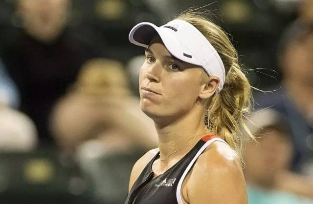 的强大实力 的强大实力