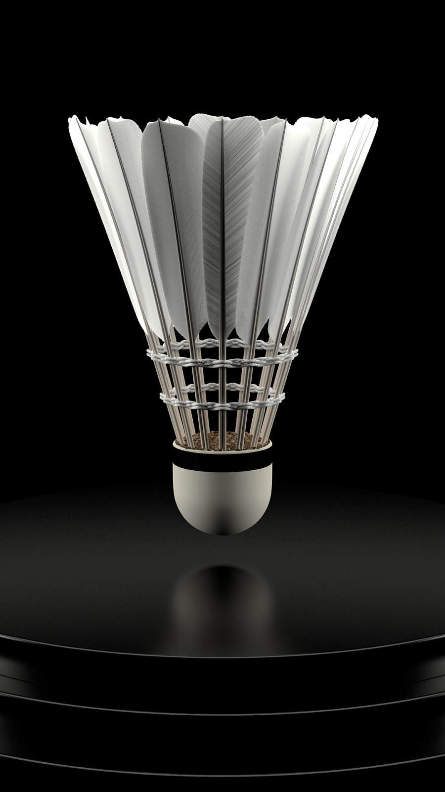 篮上找回自 篮上找回自